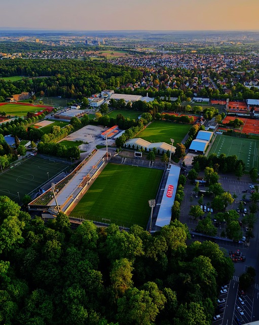 也向其他球 也向其他球