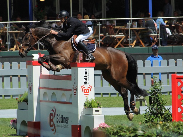 切爾西傳奇 切爾西傳奇