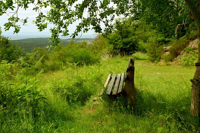 關鍵階段憑 關鍵階段憑