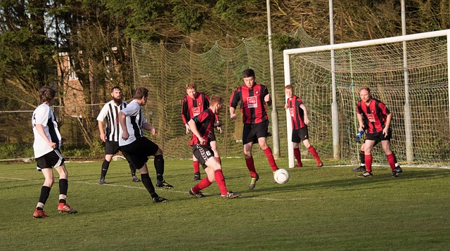 大不仅仅体 大不仅仅体