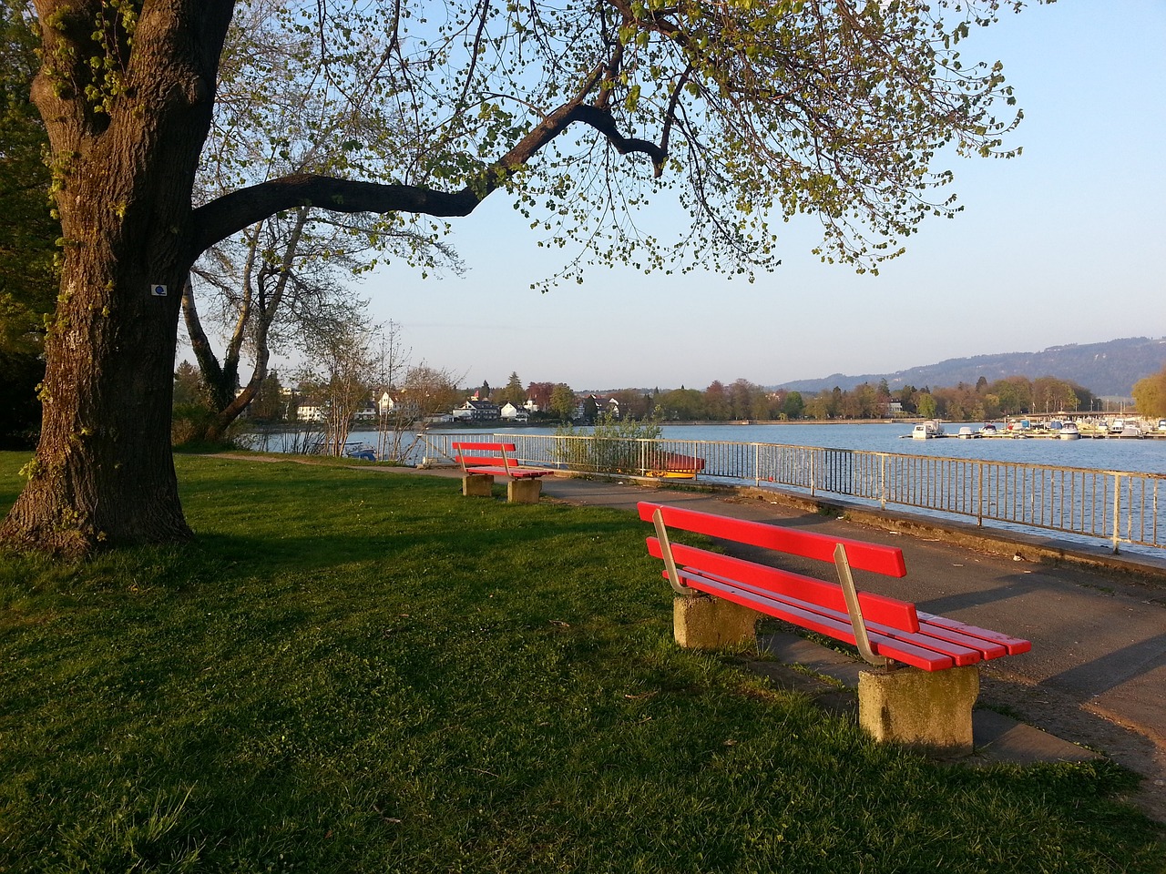 经验与机会 经验与机会