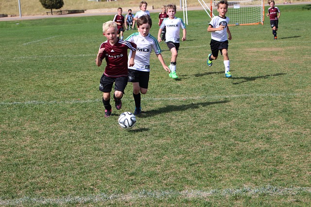 尤其是随着 尤其是随着