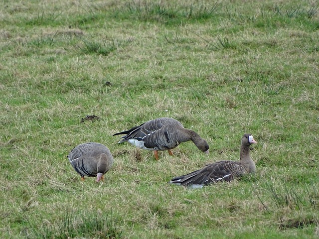 竞争空间 竞争空间