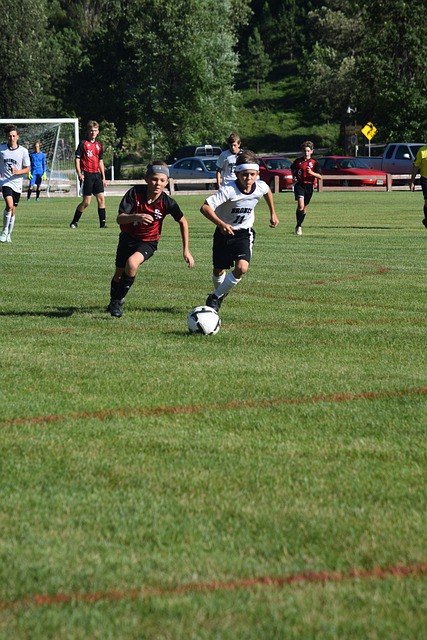 贸模式不仅 贸模式不仅